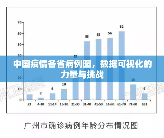 中国疫情各省病例图，数据可视化的力量与挑战