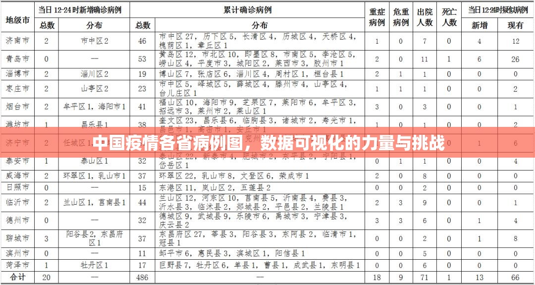 中国疫情各省病例图，数据可视化的力量与挑战